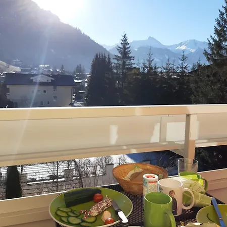 公寓 Mountain View With Private Sauna 巴特霍夫加施泰因