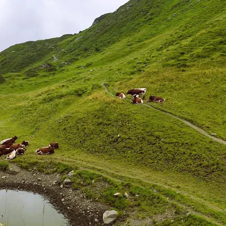 Mountain View With Private Sauna Apartamento Bad Hofgastein