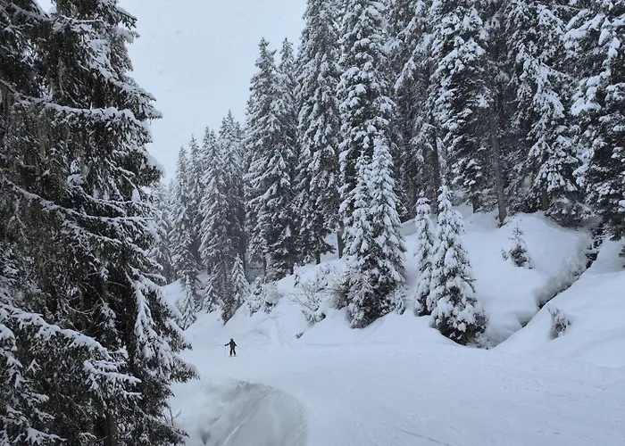 Mountain View With Private Sauna