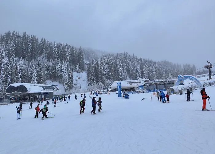 Mountain View With Private Sauna 巴特霍夫加施泰因